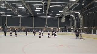 Live at Malmö Redhawks public practice part 2