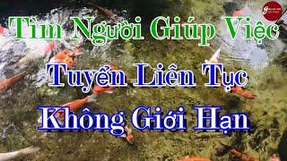 Cần Tìm Người Giúp Việc, Tuyển Dụng Việc Làm,Công Ty Giúp Việc Nhà Bảo Việt Giới Thiệu Miễn Phí