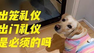 狗狗的出笼礼仪和出门礼仪是必须的吗？（宾宾聊训犬11）