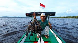 Alhamdulillah, panen udang besar setelah dapat banyak durian saat mencari cacing di kebun