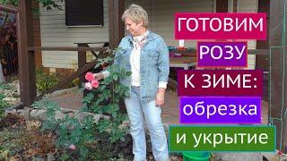 КАК ПОДГОТОВИТЬ РОЗУ К ЗИМЕ! ОБРЕЗКА, УКРЫТИЕ И ДРУГИЕ ТОНКОСТИ!