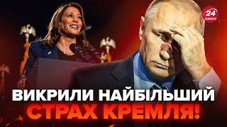 Кремль ТРЕМТИТЬ через Харріс! Ось, ЧОМУ Путін БОЇТЬСЯ цієї ПЕРЕМОГИ. РФ втратить ВАГОМОГО союзника?