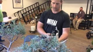 American Bonsai Master Ryan Neil