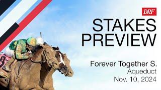 Forever Together Stakes Preview | November 10, 2024