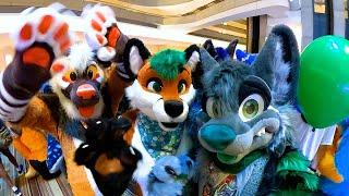 Furry Weekend Atlanta 2024 - Random Clips