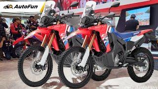 2025 NEW HONDA CRF300L RALLY !!! EICMA 2024