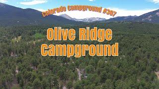 Olive Ridge Campground: Closest Campsites to Rocky Mountain National Park's Wild Basin Entrance