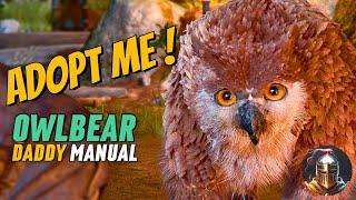 Baldur's Gate 3 How To Get The Owlbear Cub | Full Questline Walkthrough