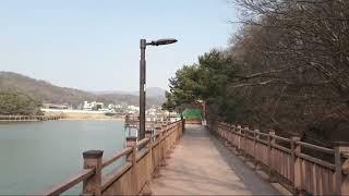 백운호수 둘레길 가벼운 산책 Baegun Lake, a light walk