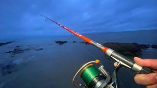 April tidings; Sea fishing in Sussex