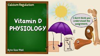 Vitamin D Physiology | Calcitriol | Calcium Regulation | Endocrine Physiology | Biochemistry