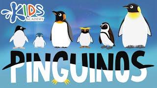 Pinguinos para Niños: Datos Interesantes - Diferentes Tipos de Pingüinos para Niños