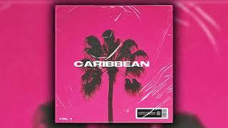 [FREE] SPACE VIBE SAMPLE PACK/LOOP KIT 2024 - "CARIBBEAN" (Veigh, Vulgo FK, Tz da Coronel)