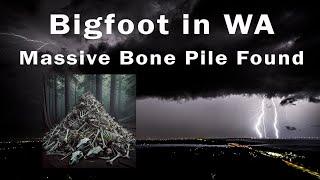 Bigfoot in Washington: The Bone Pile