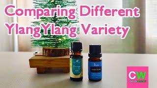 Comparing Cananga Odorata vs Dwarf Ylang Ylang Cananga Odorata var Macrophylla | couchwasabi