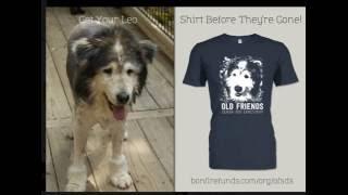 Leo T Shirts from Old Friends Senior Dog Sanctuary  Get Now