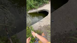 I can’t believe this ACTUALLY worked! #fishing #shorts