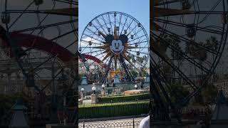 ഡിസ്നിലാൻഡിലെ ക്രേസി ഫെറിസ് വീൽ  #disney #disneyland #ferriswheel #rides