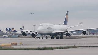 Frankfurt Airport Live️ Planespotting ️#frankfurtairport #planespotting #aviation