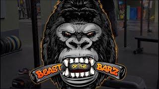 Fun Calisthenics Workout | Beast of The Barz Application 2023