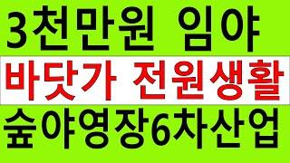 전남임야 3천만원 바닷가 싼임야 건축가 전원생활 숲야영장6차산업 자연인 산약초 약용재배 숲가치9억원 탄소권162만원 임업직불금 땅과함께(새희망을)경매임야 공매임야 나도땅주인