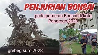 penjurian Bonsai pada pameran bonsai di Ponorogo 2023