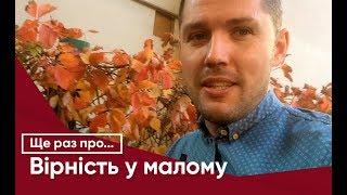 Ще раз про... Вірність у малому