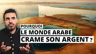 Pourquoi le monde Arabe déconne avec son argent ? | Idriss Aberkane