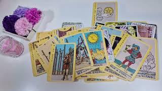 🩷 ETALARE APROAPE PERSONALA !! 🩷  Amndoi in gardă!.️ptr dovadă ️ || Tarot