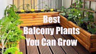 10 Amazing Indoor plants Balcony Garden Ideas for Shady Bacony.#garden #youtubeshorts #viral #shorts
