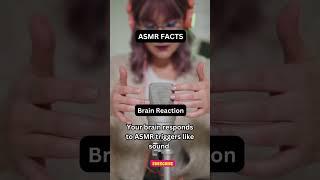 ASMR & Your Brain: The Fascinating Reaction Behind the Tingles! 