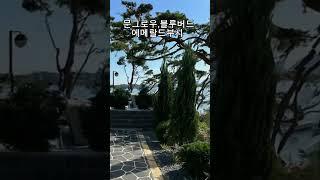 펜션식재후기, 문그로우 에메랄드부시 블루버드 
