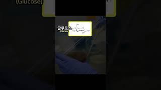 세상에서 가장 쓸모없는 연금술