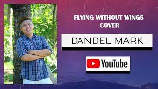 Flying Without Wings Cover by Dandel Mark Sarmiento