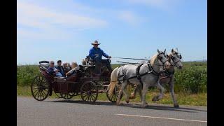 My Wish - Jemalong Horse Drawn Carriage Ride