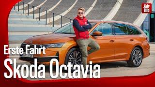 Skoda Octavia Facelift (2024): Erste Fahrt