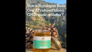 How is Himalayan Badri cow bilona A2 Ghee made at Hetha Uttarakhand?