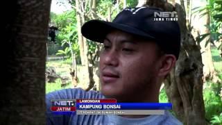 NET JATIM - Kampung Bonsai di Lamongan