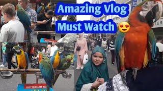 Most Beautiful Adorable Macaws Parrots at Beurs Rotterdam | Must Watch Enjoy Vlog 