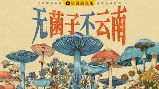 先菌子，后小人？欢迎来到云南魔幻森林！【新山海经05】丨Can't Live Without Mushrooms!!