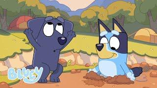 La terra che esplora con Bluey | Bluey Italiano Canale Ufficiale