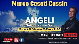 Marco Cesati Cassin presenta: ANGELI (Noi non siamo Soli)
