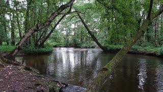 398 Swalmen (Limburg, NL), 13,9 km