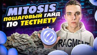 MITOSIS : ПОЛУЧАЕМ AIRDROP ЗА ТЕСТНЕТ | ПОШАГОВЫЙ ГАЙД