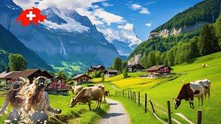 11 Most Beautiful Places to Visit in SwitzerlandLauterbrunnen, Grindelwald, Aareschlucht, Mürren