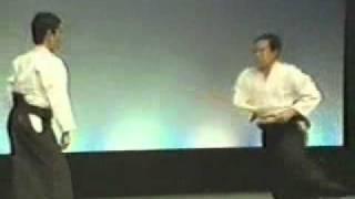 Ki Aikido - Taigi 22