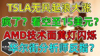 美股 TSLA无风起浪大涨，疯了？看空至15美元？！AMD技术面黄灯闪烁更新！华尔街分析师是反指吗？