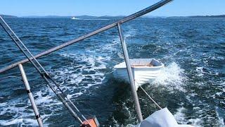 A summer Sail around the Bay