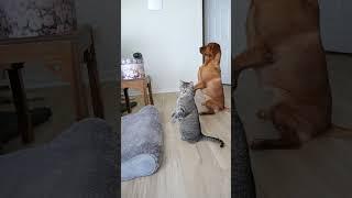 They understand the music