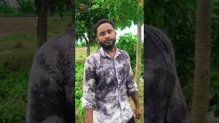 ভাই কুকুর তো ২০ বছরের বেশি বাচেনা ...Drama Brothers LTD #shorts #tiktok  #vairalvideo  #2023